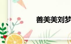 善美美刘梦若全文修改