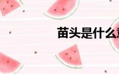 苗头是什么意思（苗头）