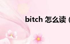bitch 怎么读（bitch怎么读）
