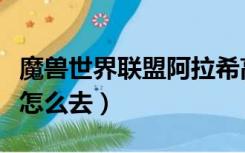 魔兽世界联盟阿拉希高地怎么去（阿拉希高地怎么去）