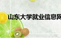 山东大学就业信息网（山东大学就业网）