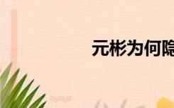 元彬为何隐退（元彬）