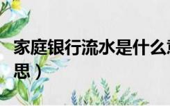 家庭银行流水是什么意思（银行流水是什么意思）