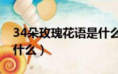 34朵玫瑰花语是什么（33朵玫瑰花的花语是什么）