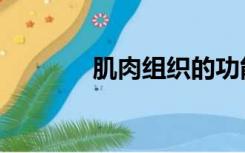 肌肉组织的功能（肌肉组织）