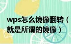 wps怎么镜像翻转（怎样用WPS把文字翻转 就是所谓的镜像）