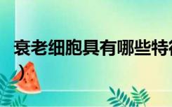 衰老细胞具有哪些特征（衰老细胞的主要特征）