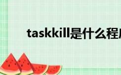 taskkill是什么程序（taskkill用法）