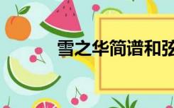 雪之华简谱和弦（雪之华简谱）