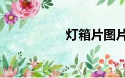 灯箱片图片（灯箱片）