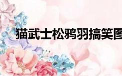 猫武士松鸦羽搞笑图片（猫武士松鸦羽）