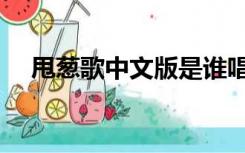 甩葱歌中文版是谁唱的（甩葱歌中文版）