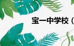宝一中学校（宝一中官网）