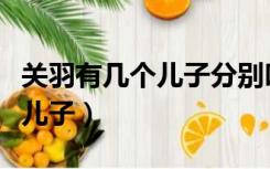 关羽有几个儿子分别叫什么名字（关羽有几个儿子）