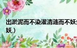 出淤泥而不染濯清涟而不妖全诗（出淤泥而不染濯清涟而不妖）