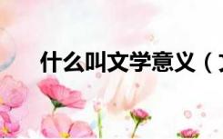 什么叫文学意义（文学的意义是什么）