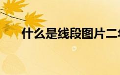 什么是线段图片二年级（什么是线段）