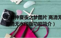 貂蝉仲夏夜之梦图片 高清无水印版（貂蝉仲夏夜之梦图片 高清无水印版功能简介）