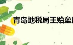青岛地税局王贻垒局长（青岛地税局）
