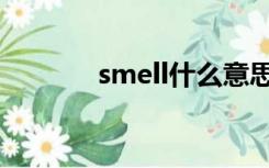 smell什么意思英语（smell）