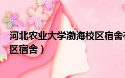 河北农业大学渤海校区宿舍有空调吗（河北农业大学渤海校区宿舍）