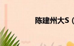 陈建州大S（陈建州大s）
