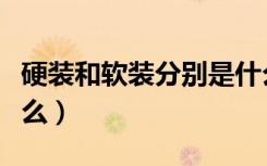 硬装和软装分别是什么（硬装和软装分别指什么）