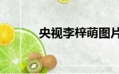 央视李梓萌图片（李梓萌图片）