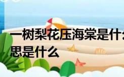 一树梨花压海棠是什么意思男的说这句话的意思是什么