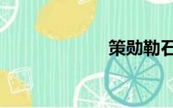 策勋勒石（策勋）