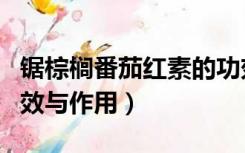 锯棕榈番茄红素的功效与作用（番茄红素的功效与作用）