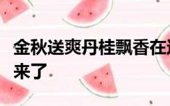 金秋送爽丹桂飘香在这个丰收的季节里我们迎来了