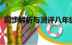 同步解析与测评八年级上册数学人教版答案
