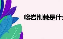 巉岩荆棘是什么意思（巉岩）