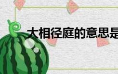 大相径庭的意思是什么（大相径庭）