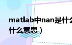 matlab中nan是什么（matlab中NaN表示什么意思）