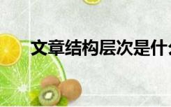 文章结构层次是什么意思（文章结构）