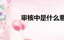 审核中是什么意思啊（审核中）