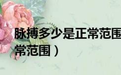 脉搏多少是正常范围内40岁（脉搏多少是正常范围）