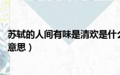 苏轼的人间有味是清欢是什么意思（人间有味是清欢 是什么意思）
