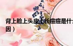 背上脸上头皮上长痘痘是什么原因（头皮上长痘痘是什么原因）