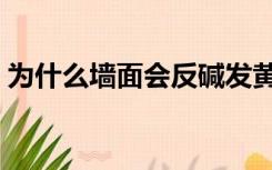 为什么墙面会反碱发黄（为什么墙面会反碱）