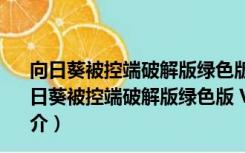 向日葵被控端破解版绿色版 V12.0.1.39931 免费VIP版（向日葵被控端破解版绿色版 V12.0.1.39931 免费VIP版功能简介）