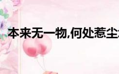 本来无一物,何处惹尘埃意思（本来无一物）