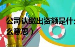 公司认缴出资额是什么意思（认缴出资额是什么意思）