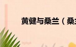 黄健与桑兰（桑兰丈夫黄健前妻）