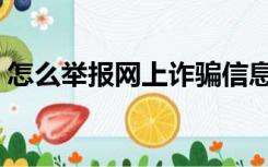 怎么举报网上诈骗信息（怎么举报网上诈骗）