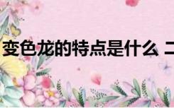 变色龙的特点是什么 二年级（变色龙的特点）