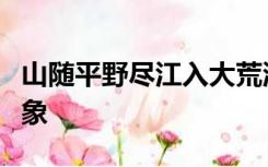 山随平野尽江入大荒流给我们描绘了怎样的景象