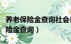 养老保险金查询社会养老保险金查询（养老保险金查询）